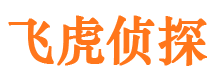 临江市私家侦探